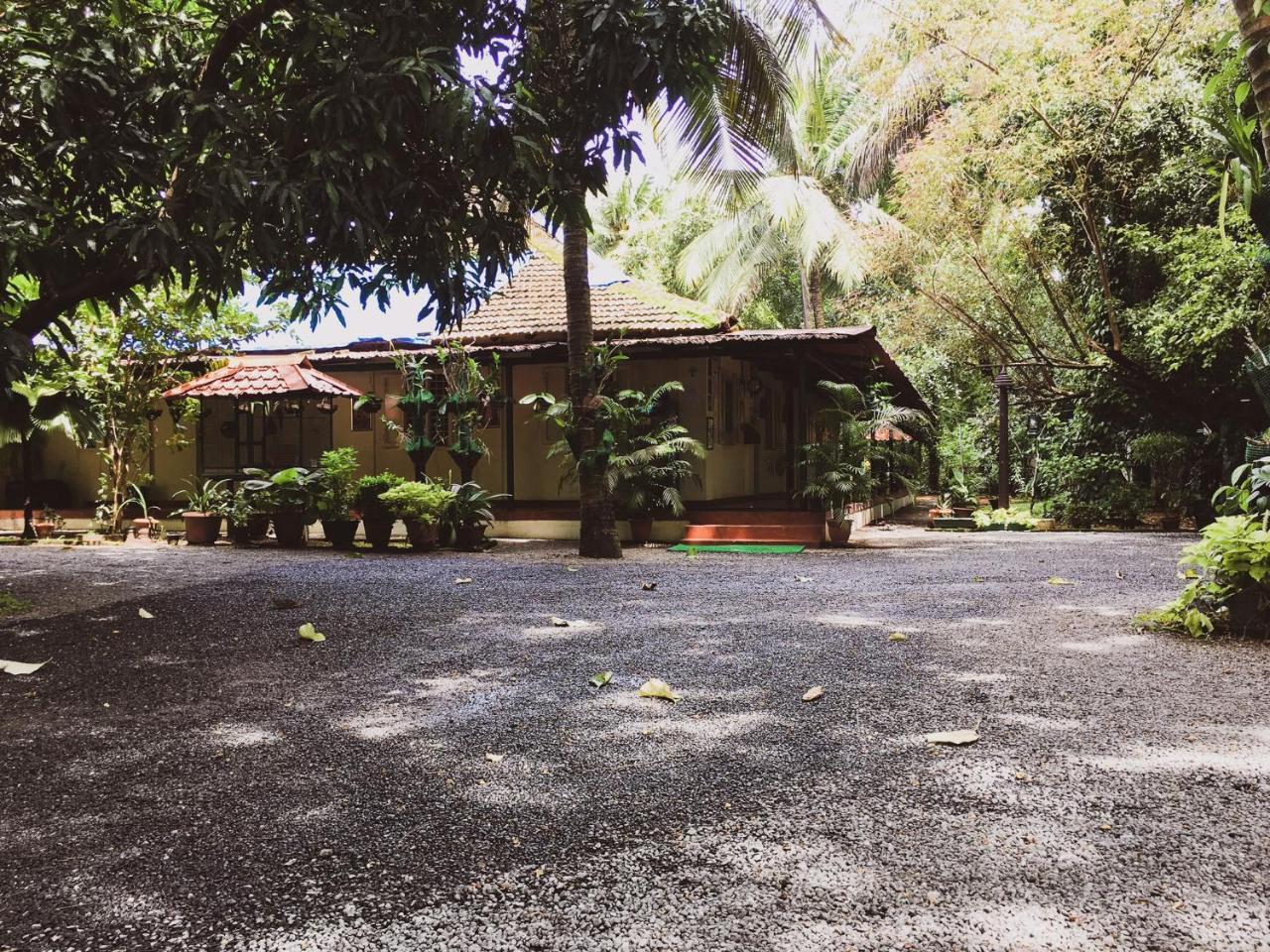 Palm Grove Service Villa Коччи Экстерьер фото