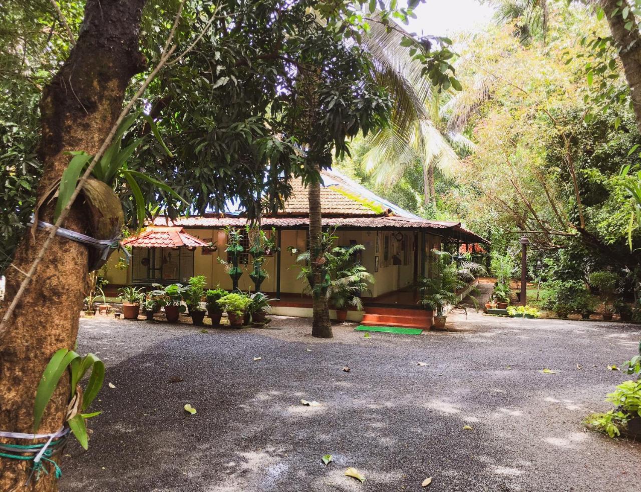 Palm Grove Service Villa Коччи Экстерьер фото