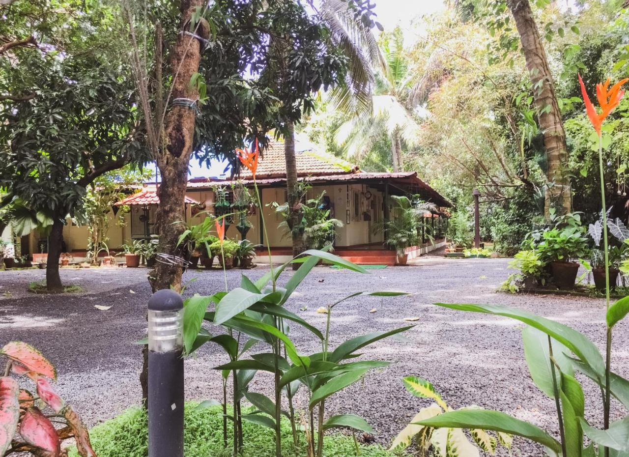 Palm Grove Service Villa Коччи Экстерьер фото